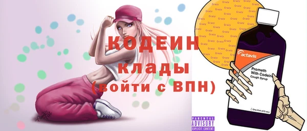 индика Балахна