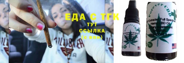 индика Балахна
