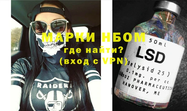 индика Балахна