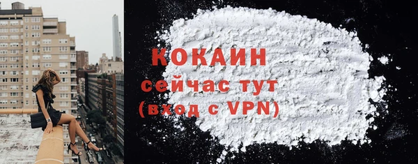 индика Балахна