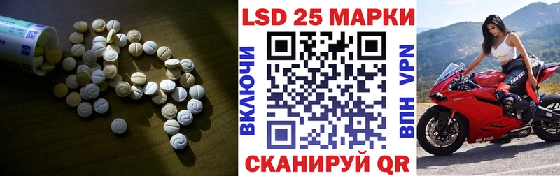omg рабочий сайт  Светлогорск  LSD-25 экстази кислота  дарнет шоп 