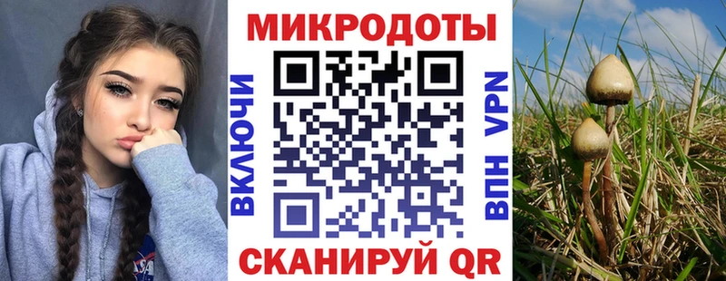 Псилоцибиновые грибы Magic Shrooms  Светлогорск 